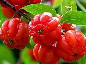 ��ν�����ˮ�� ��Щ��ˮ��ϰ�߻�Ӱ����Ľ���