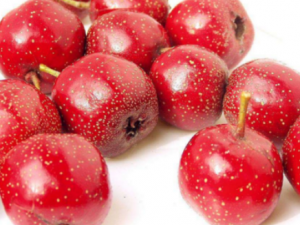 ɽ髶���������ʲô��Ч ɽ髿ɴٽ���������