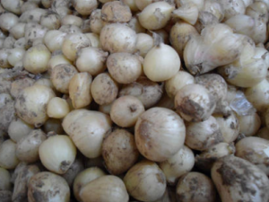 С������Щ��Ч С���λ���ת��