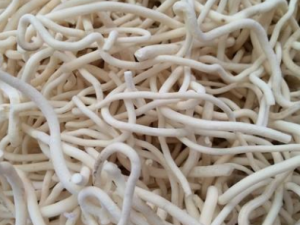 СͨݵĹЧ СͨʪȲС