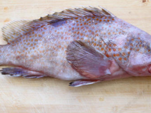 ��ν������� ʲô�����㲻�ܳ���