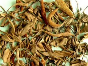 СʯΤ�Ĺ�Ч СʯΤ��С������