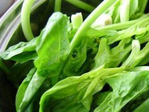 ���߲�����Щ�㲻֪�������� �ô��߲˻��ܳ���