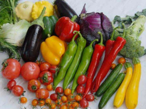 ��Щʳ���ܹ��������������� �����벻����ʳ���Ƽ�