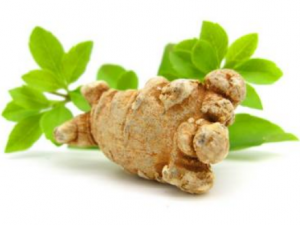 ��Щ��ҩ���㿹˥�� С���Ƽ����˥����ҩ