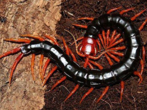 �����������Щ��Ч �����������������