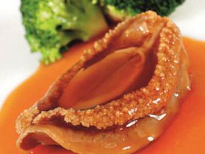 ���ʺ���Ҫ������ ��Щ����������������