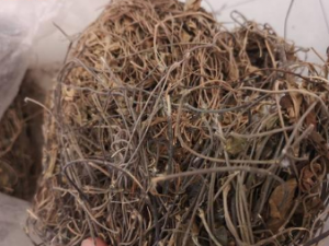 С��ޱ�Ĺ�Ч С��ޱ�ε�������