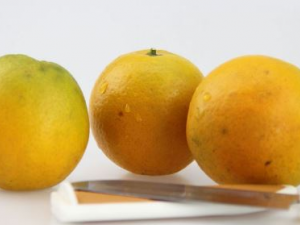 ��ҹ����ˮ���� ����ˮ��Ӧ�����������