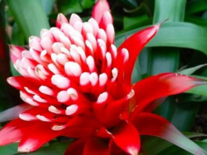 ��ˮ�����Ĺ�Ч ��ˮ������Ӹ���׶�