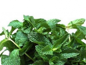 �㻨�˵Ĺ�Ч �㻨���θ�ð�������Ϳ���