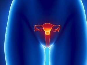 Ů����α����ѳ� �ѳ������ĺô�