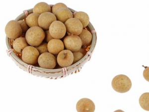 Ů�˳Թ�Բ������Щ�ô� Ů�ԳԻ��Բ��������