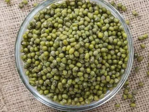 ����ʡǮ��������С���� һ����ѧѧ��