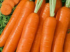 ���ܲ�Ӫ����ֵ�� �����Ժ��ܲ�Ҫע����֪����