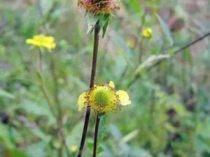 ���������ݵĹ�Ч ���������������ȱ�ʹ