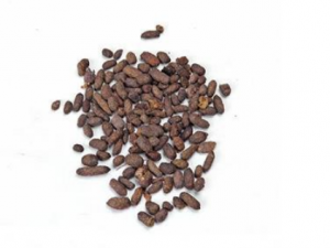 ����֬�Ĺ�Ч���� ����֬���ƶ���ҧ��