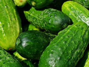 �����������ҩ�� С���Ƽ��Ŀ�����ҩ��