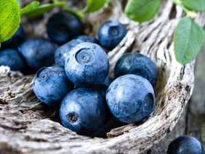 �ߴ󵭰�ƫ������Щ ��ݮҲ�ܰ��������