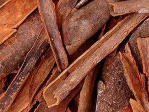 �����ݽ���ʲô��ҩ���� �����ݽŵĺô�