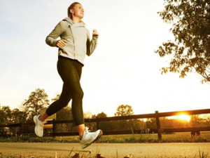 �ﶬ���̴���ԭ�� �ﶬ���̴����Ӧ��