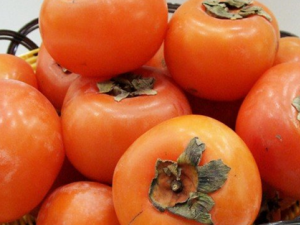 ׼������β���Ӫ�� ׼���貹��Ӫ��������