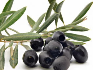 иڼǷԳҩ иҩҪעЩ