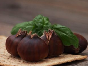 ��������˵�ʳ������Щ ţ�������ͬʱ����