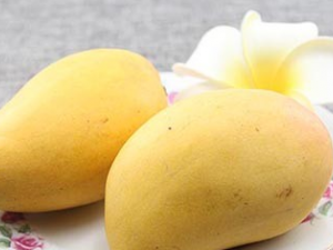 ���׻��ߵ���ʳ���� ���׵Ļ����ܳ�â����