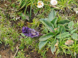 �ö�������Щ���� �ö�����������ʹ