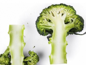 �����ô�Ը����� ��͵�Ӫ���Է�