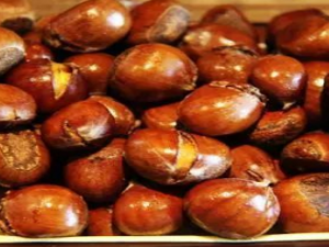 �����ʺ���Щ��Ⱥʳ�� ��������Щ������