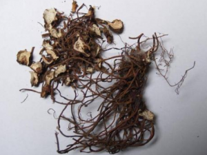 �Ѷ������й�Ч �Ѷ�����Ӹ�״���