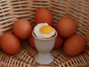 ���������ܳԼ����� ����������ν����ĳԼ���