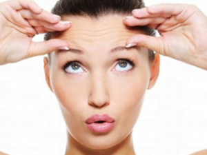 �׵������Ƶġ�ʳ��������� һ����������