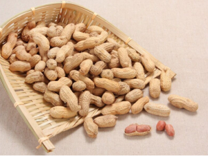 ������ʲôʳ����� ������Բ���ʳ���������ߴ���