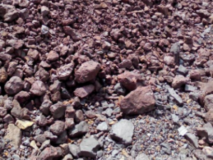 �����۵Ĺ�Ч���� ��������Ѫ������Ѫ��