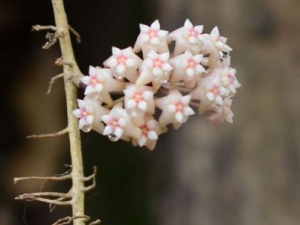 ����Ь�Ĺ�Ч���� ����Ь�ӽ���ε�������