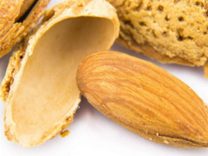 �͵�ľ��Ӫ����ֵ �԰͵�ľ�ĺô�����Щ