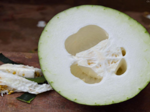 ��θ����������Щ ������θ����ȷ