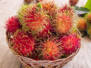 �����ȷ����ѡ���ʺ�ë�� ʳ�ú�ë����Ҫע����Щ����