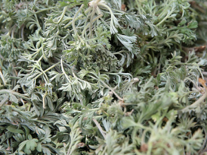 ���ˮ���ʺ�ʲô�˺� ��̫�����ˮ��ʲô������