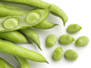 ���㶹��ʲô�������� �������㶹����Щ������