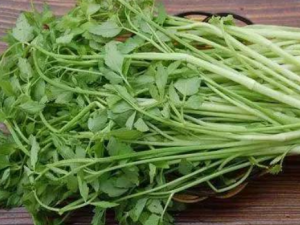 �ʲ˸��Ĺ�Ч���� �ʲ˸���ͨ��������