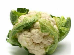 ��β��ܻ��ⴺ�� ���Ѵ�����ʳ������