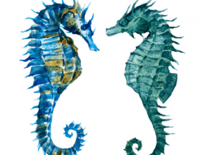 �����Ĺ�Ч���� ������ʲôһ��ԱȽϺ�