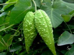 �콬�ǵĹ�Ч���� �콬����λ�̵�ο���̵��