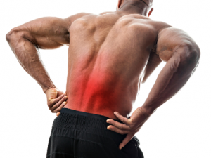 �����������Ӧ�� ��ҽ�Ƽ���Ħʳ�Ʒ���