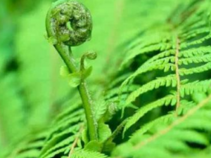 ����������Щ��Ч �����ݽ�����ʪ�η�ʪ