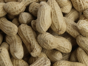 ���ܳԻ����������� �������ܳ���